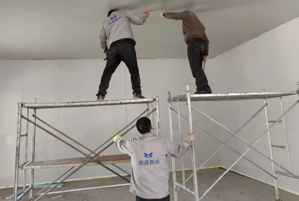 蘇州350㎡鮮花恒溫冷庫項(xiàng)目案例